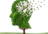 memory loss